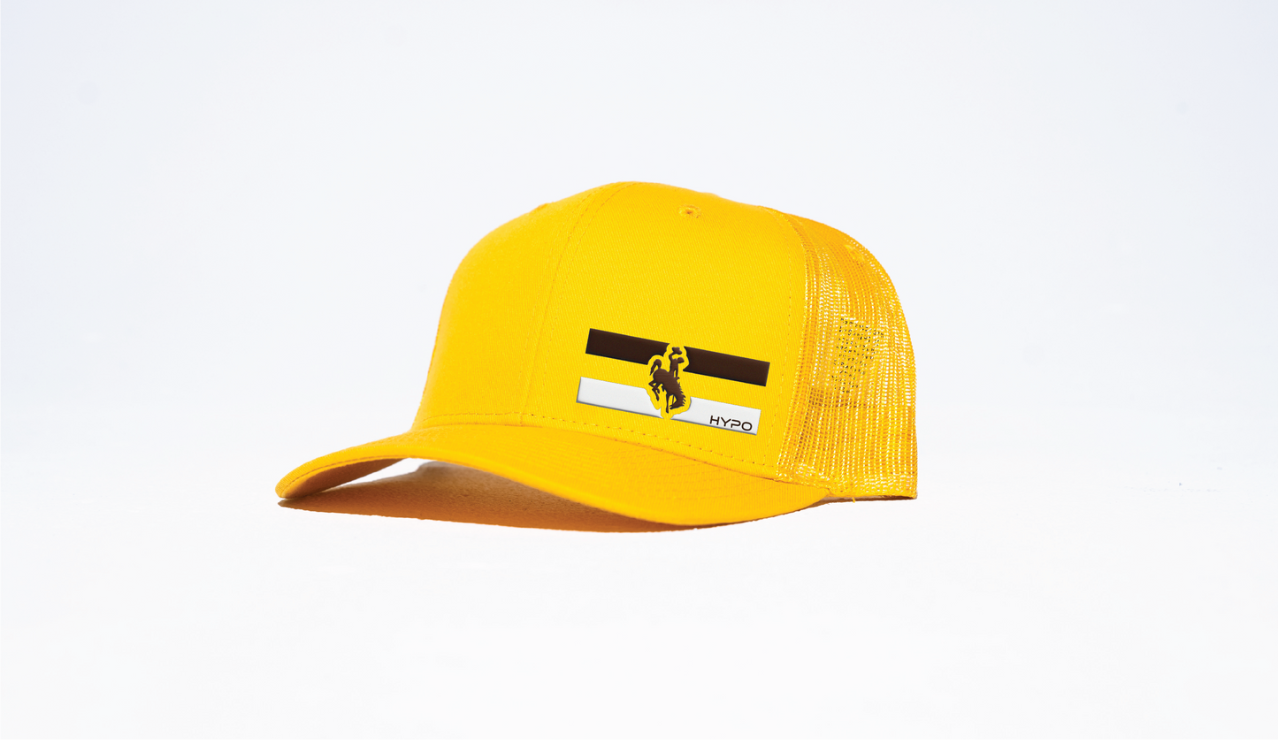 Steamboat striped hat -Snapback