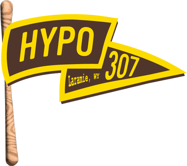 Hypo 307
