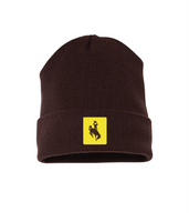 Steamboat beanie -(3 color options)
